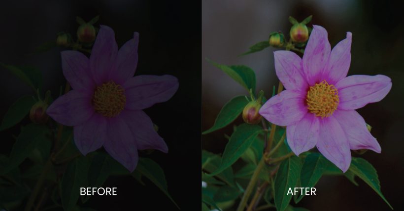 Exposure-Correction-Using-Photoshop-Musammil-07